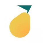 Pyrus Service Desk